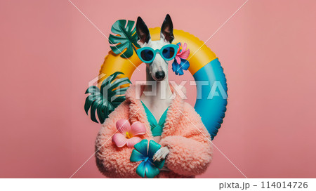 Funny dog wearing summer fashion on pastel background with copy space. Summer Vacation Concept. 114014726
