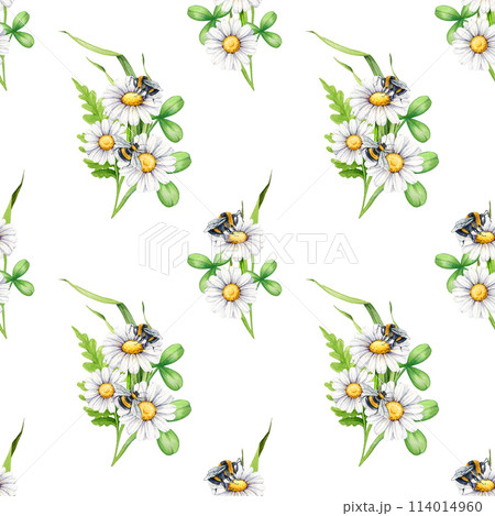 Bee on a daisy flower seamless pattern. Watercolor illustration. Meadow summer flowers with bumblebee floral decor. Bee on a white daisy flower with green leaf seamless pattern. White background Bee on a daisy flower seamless pattern. Watercolor illustration. Meadow summer flowers with bumblebee floral decor. Bee on a white daisy flower with green leaf seamless pattern. White background 114014960