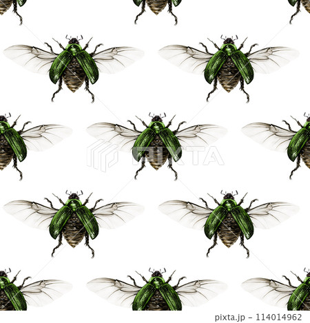 Vintage style elegant beetle seamless pattern. Watercolor painted illustration. Hand drawn beautiful green bug element. Vintage style beetle with spread wings seamless pattern on white background 114014962