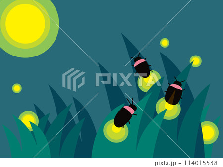 蛍の光が美しい背景用ベクター素材 114015538
