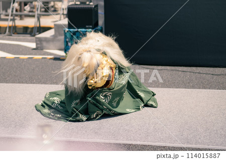 獅子舞の舞 獅子舞の舞 114015887