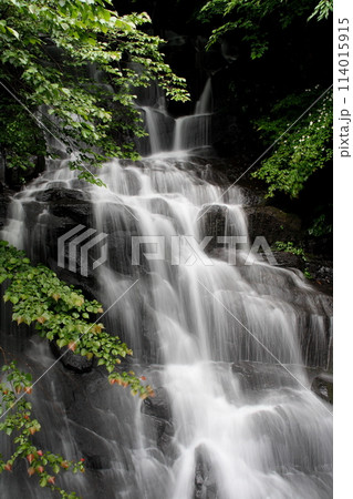 愛媛県東温市井内の御来光の滝 114015915