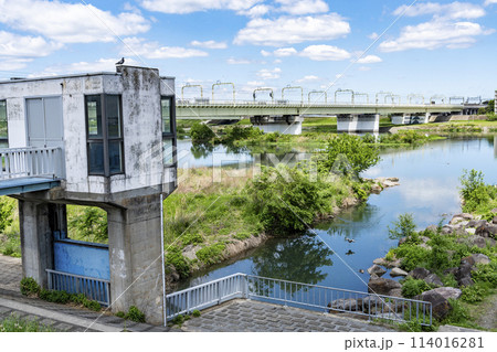 多摩川の風景　登戸　和泉多摩川 114016281