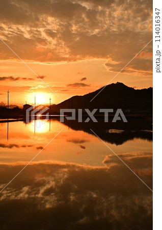 丹波篠山の日の出 丹波篠山の日の出 114016347