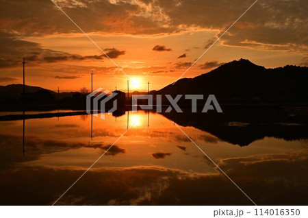 丹波篠山の日の出 114016350