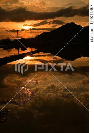 丹波篠山の日の出 丹波篠山の日の出 114016467