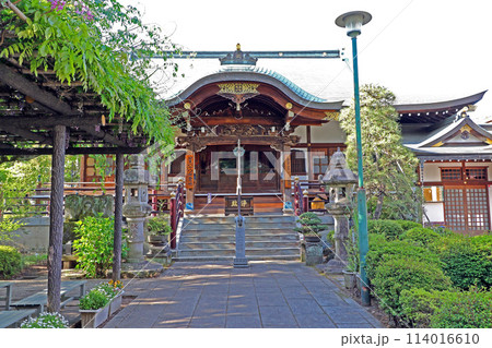 井口院（三鷹） 114016610