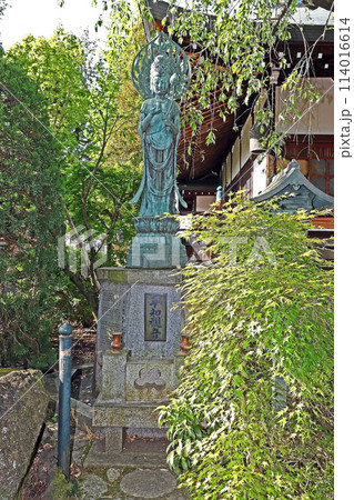 井口院(三鷹) 井口院(三鷹) 114016614