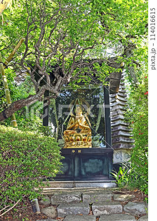 井口院(三鷹) 井口院(三鷹) 114016615