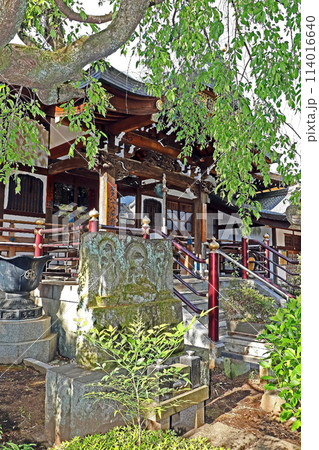 井口院(三鷹) 井口院(三鷹) 114016640