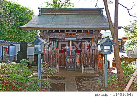 井口院(三鷹) 井口院(三鷹) 114016645