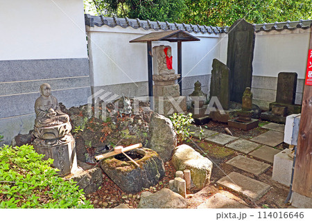 井口院(三鷹) 井口院(三鷹) 114016646