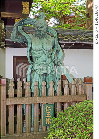 井口院(三鷹) 井口院(三鷹) 114016647