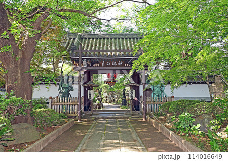 井口院（三鷹） 114016649