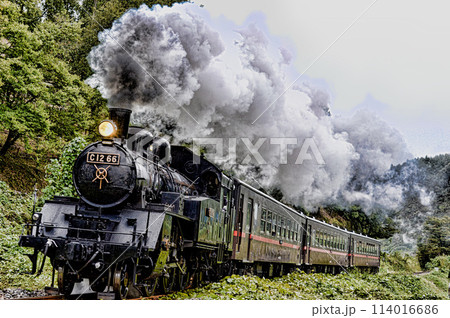 真岡鉄道の蒸気機関車 114016686