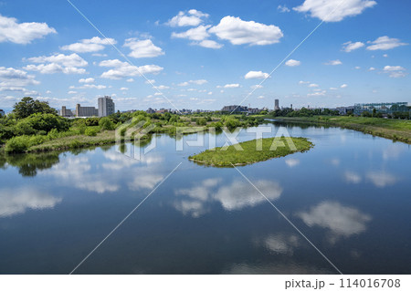 多摩川の風景　登戸，和泉多摩川の河川敷 114016708