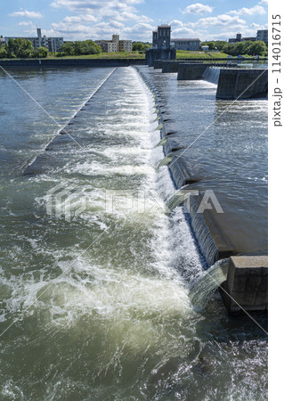 多摩川の風景　登戸，和泉多摩川の河川敷 114016715