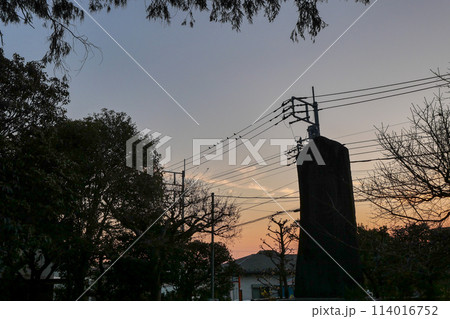 東京都　国立市　冬　夕景　谷保天満宮にて 114016752