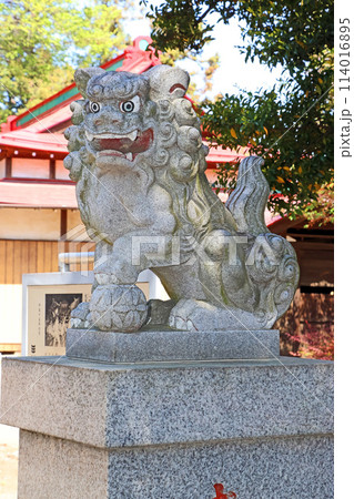 大和田氷川神社（新座） 114016895