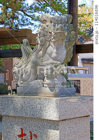 大和田氷川神社（新座） 114016896
