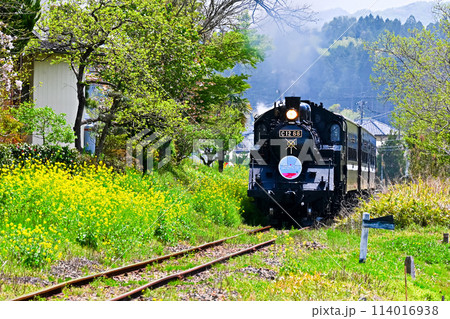 真岡鉄道の蒸気機関車 114016938