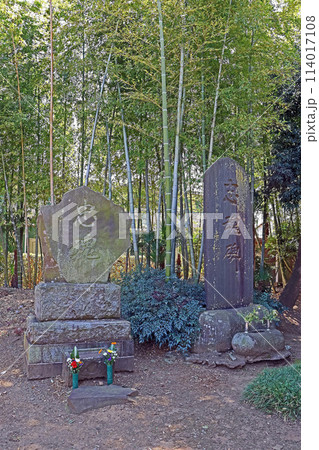 普光明寺(新座) 普光明寺(新座) 114017108