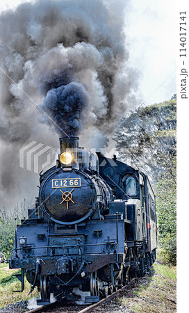 真岡鉄道の蒸気機関車 真岡鉄道の蒸気機関車 114017141