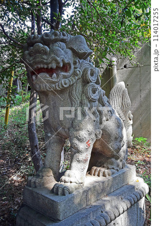 旭町出世稲荷神社(練馬) 旭町出世稲荷神社(練馬) 114017255