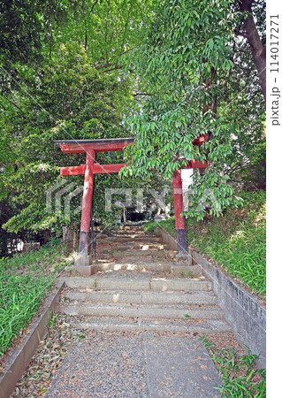 旭町出世稲荷神社(練馬) 旭町出世稲荷神社(練馬) 114017271