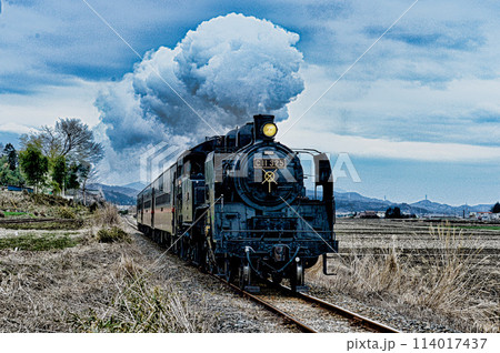 真岡鉄道の蒸気機関車 真岡鉄道の蒸気機関車 114017437