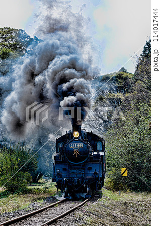 真岡鉄道の蒸気機関車 真岡鉄道の蒸気機関車 114017444