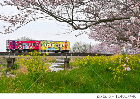 春の関東鉄道 114017446