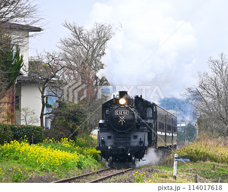 真岡鉄道の蒸気機関車 真岡鉄道の蒸気機関車 114017618