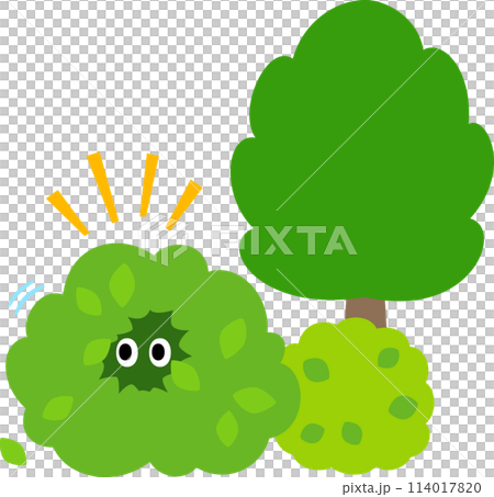 眼睛從灌木叢的葉子後面探出頭來 114017820