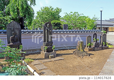 仲台寺（練馬） 114017828