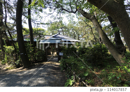 湘南葉山のしおさい公園の初夏 湘南葉山のしおさい公園の初夏 114017857