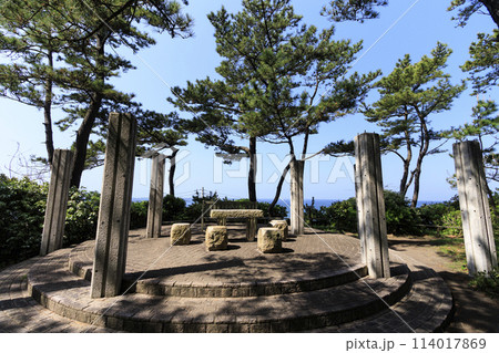 湘南葉山のしおさい公園の初夏 湘南葉山のしおさい公園の初夏 114017869