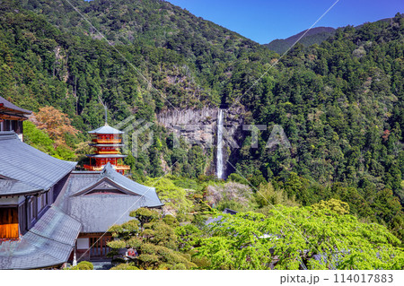 熊野那智大社 熊野那智大社 114017883