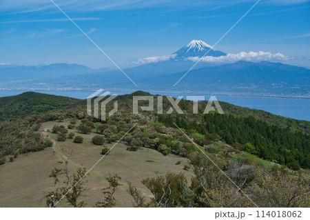 伊豆山稜トレイルから見た富士山 114018062