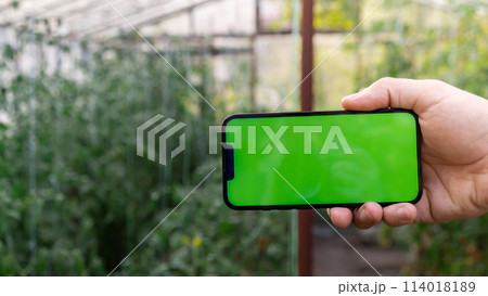 Artificial intelligent management system in farm. Smart gardening at home. Empty green screen chroma key mobile phone sample. Futuristic ai technologies in farming 114018189
