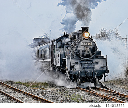 真岡鉄道の蒸気機関車 114018233