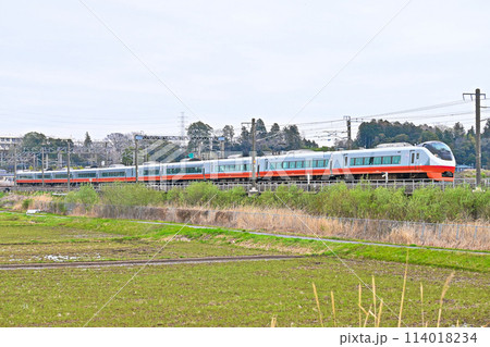 常磐線の特急電車 常磐線の特急電車 114018234