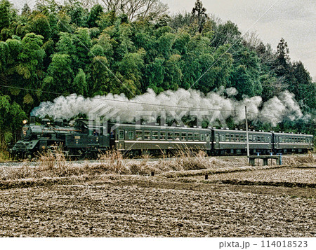 真岡鉄道の蒸気機関車 114018523