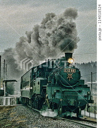 真岡鉄道の蒸気機関車 真岡鉄道の蒸気機関車 114018524