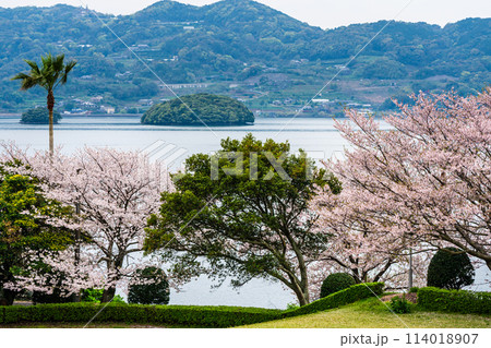 四本堂公園の桜 【長崎県西海市】 四本堂公園の桜 【長崎県西海市】 114018907