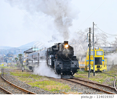 真岡鉄道の蒸気機関車 真岡鉄道の蒸気機関車 114019307