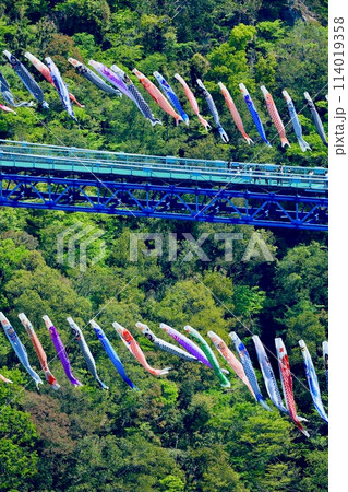 龍神大吊橋と鯉のぼり 茨城県 龍神大吊橋と鯉のぼり 茨城県 114019358