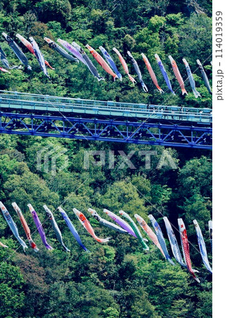 龍神大吊橋と鯉のぼり 茨城県 龍神大吊橋と鯉のぼり 茨城県 114019359