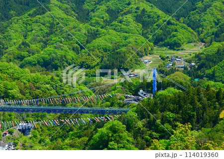 龍神大吊橋と鯉のぼり　茨城県 114019360