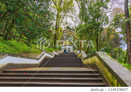 世界遺産、ブラガ・ボンジェズス教会、ポルトガル、BRAGA,PORTUGAL 世界遺産、ブラガ・ボンジェズス教会、ポルトガル、BRAGA,PORTUGAL 114019607
